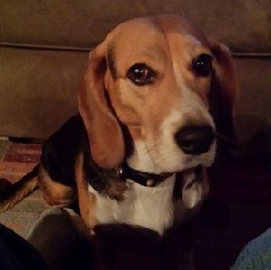 Meet your Posher, Darrell